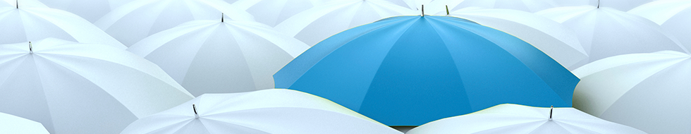 What are your insurance options in the States?