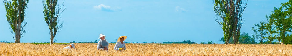 Ukraine Health Insurance – What Foreigners Need to Know