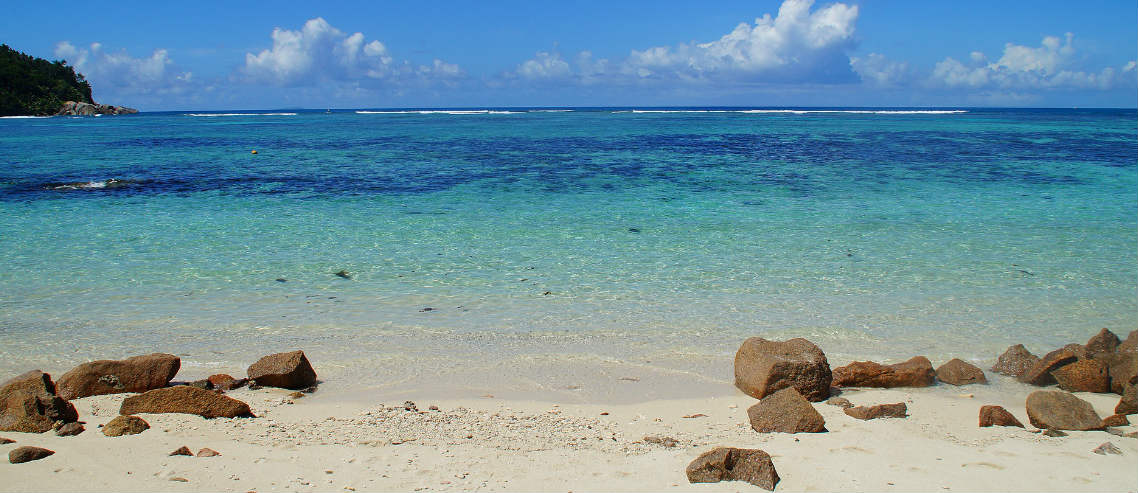 6 Superfoods for survival on a deserted island
