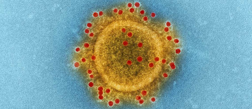 4 terrifying diseases you never want to get