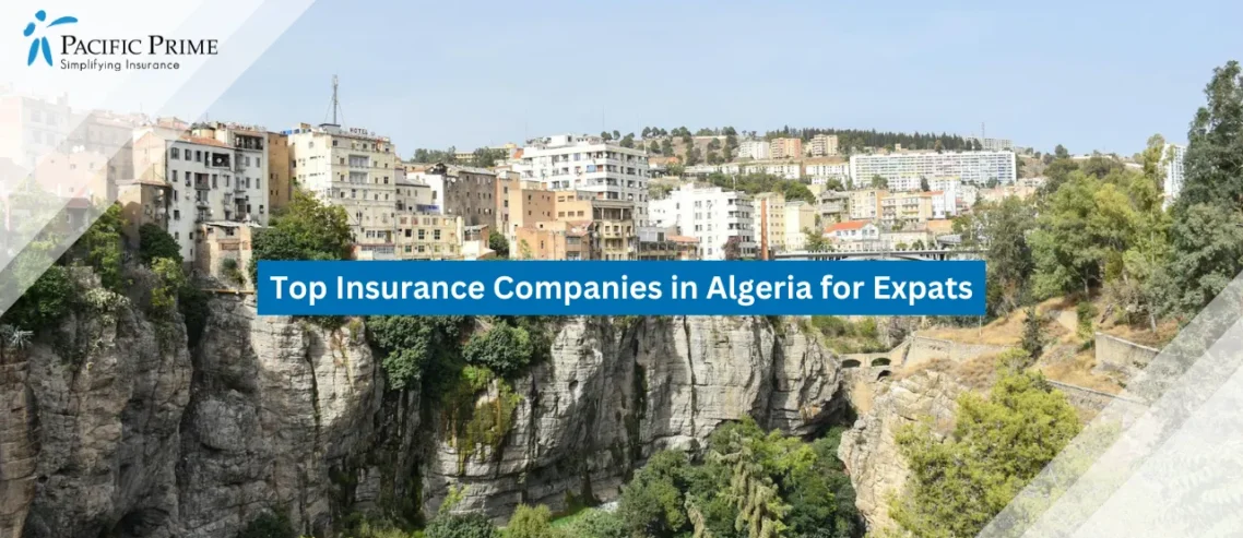 Top 11 Insurance Companies in Algeria for Expats