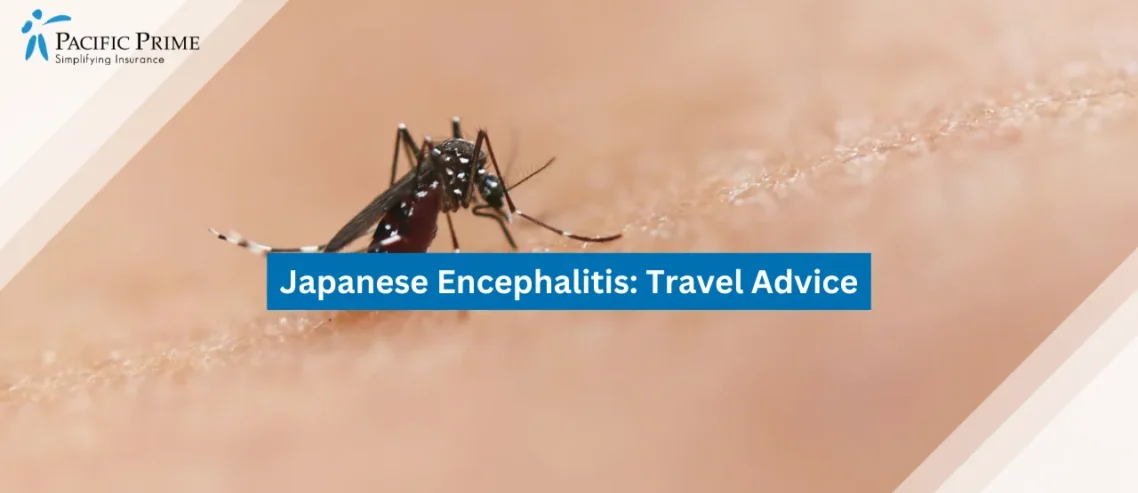 Image of Mosquito Biting Human Skin Close-up with text overlay of "Japanese Encephalitis: Travel Advice"