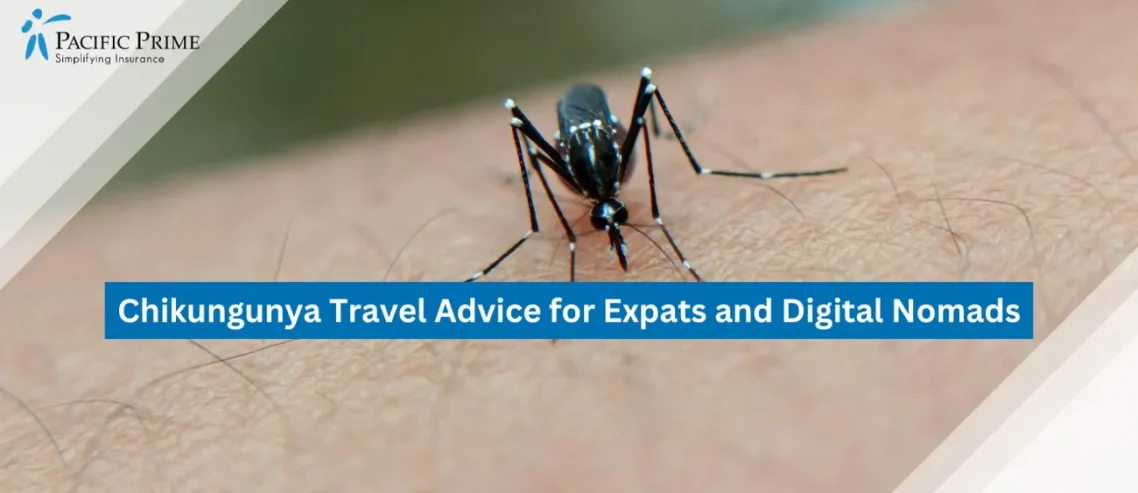 Chikungunya Travel Advice for Expats and Digital Nomads