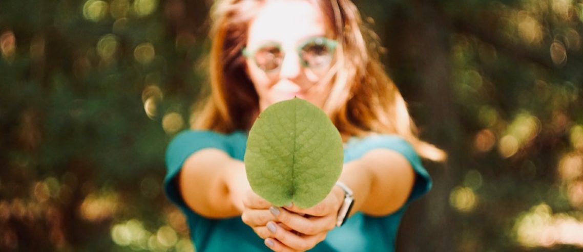 How to practice sustainability in schools